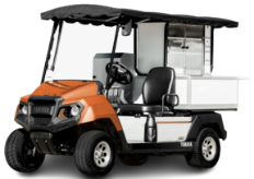 Custom Golf Carts for sale in Waco, TX